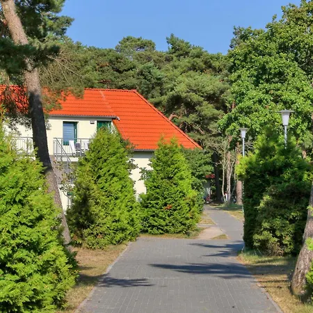 3 Bedroom Cozy In דירה *