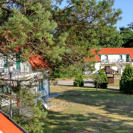 3 Bedroom Cozy In דירה